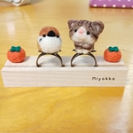 リングの止まり木　2～3匹用（柿）