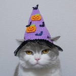 🎃🦇魔女帽子 ハロウィン