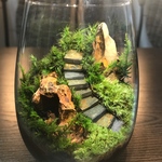苔テラリウム LEDライト蓋付き 気孔石の山