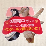 ペットお昼寝玄関用ステッカー2匹用