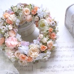 ピーチオレンジのリース