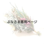ぷなさま専用ページ
