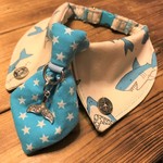 犬・猫の首輪　29～31　cocochanネクタイチョーカーNEO　サメ・海・マリン・オフ白×ブルー