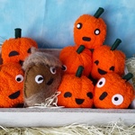 ポンポンのハロウィーン🎃
