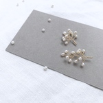 " kinomi " pearl asymmetry  〈 淡水パールのアシメピアス 〉