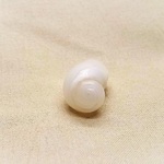 スーパーパワーストーン☆ケオン原石☆希少