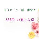 リピーター様限定   500円