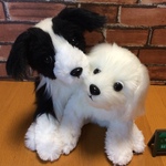 f様オーダーメイド品(成犬)