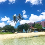 せりぴ様専用