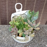 多肉植物リメ缶寄せ植え[ホワイト3]