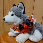 ＱTシュシュ(ハロウィン🎃)