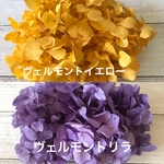 ハロウィン色セット❣️ヴェルモント小分け❣️ハーバリウム花材プリザーブドフラワー