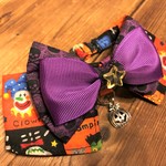 犬・猫の首輪　24～26　cocochanリボンチョーカーNEO　ハロウィン・ドクロ・おばけ