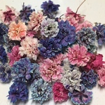 かすみ草 ドライフラワー  fancy gradation 3