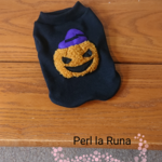 犬服オーダー　ハロウィーン パーティー  のお洋服　