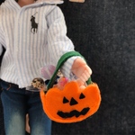ハロウィンのおみやげ＊かぼちゃバッグお菓子セット＊C