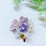 紫陽花アナベル ポニーフック