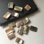 シェルパーツ/アバロンシェル/１点もの　お買い得