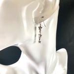 スワロの星のピアス(シルバー)イヤリングに変更可能。