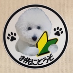 丸型 初心者マーク(お先にどうぞ)1匹用