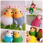 【受注製作】うちの子オーダー☆まめっこインコ