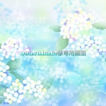 09asuka12様専用画面