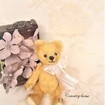 Doll's friend bearⅡ