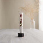  Botanical tube アストランティア Red 