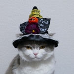 魔女の帽子 ハロウィン