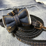 犬用首輪&リードセット