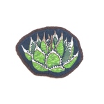 アガベ ホリダの刺繍ブローチ