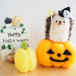 【2019年】ハッピー☆ハロウィン☆魔女ハリネズミちゃん