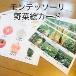 専用ページ