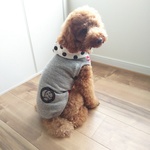 犬服　パーカータンクトップ（杢ベージュ×ぞうさん）