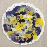 SALE❗️NO.3 摘みたてビオラ／押し花素材