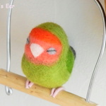 ふくふく　おねむなコザクラインコ