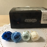 ハーバリウム  花材  4輪