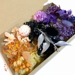 ヘリクリサムとハロウィン＊ハーバリウム 花材ドライフラワー  花材セット