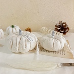 ＊Cotton white pumpkin＊ホウキ付きA