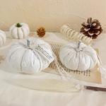 ＊Cotton white pumpkin＊ホウキ付きB