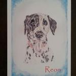 【ダルメシアンshop　Reon様オーダー品】愛犬イラスト