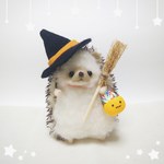 ミニハリネズミのハロウィン🎃