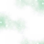【Ns様専用ページ】