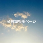 金額調整用ページ