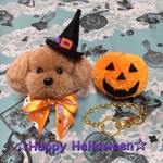 【ハロウィン限定】 もふもふトイプードル &カボチャランタンの バックチャーム（キャメル）