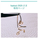 haxtusi-2929 さま専用ページです
