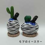 エッグプランター【ゼブラ柄】枯れないサボテン