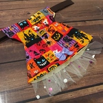 フェレット   服