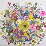 押し花 花材 素材☆ニチニチ草、紫陽花、コスモス、アリッサム他小花MIXたくさん