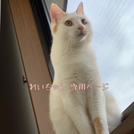 れいちゃん*ﾟ専用ページ